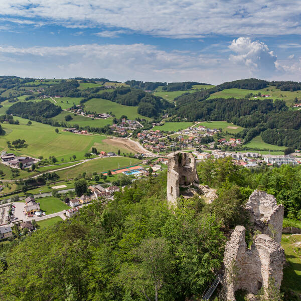  Ruin in daylight with brushes and the view behind it of the municipality Rabenstein an der Pielach 