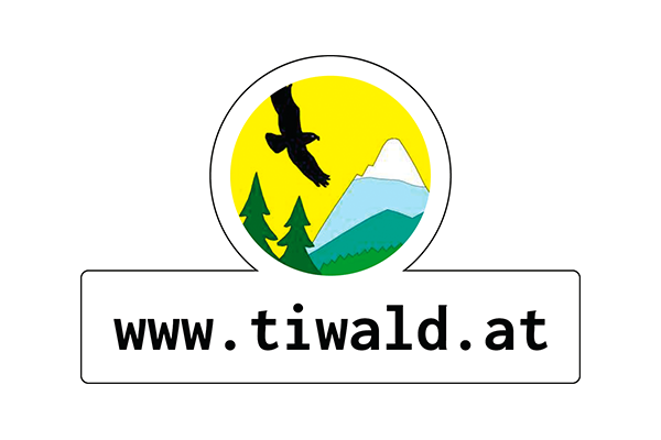 Logo alpine.consulting I DI Werner Tiwald ZT-GmbH