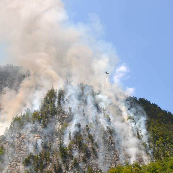  Forest fire at Hirschwang in 2021