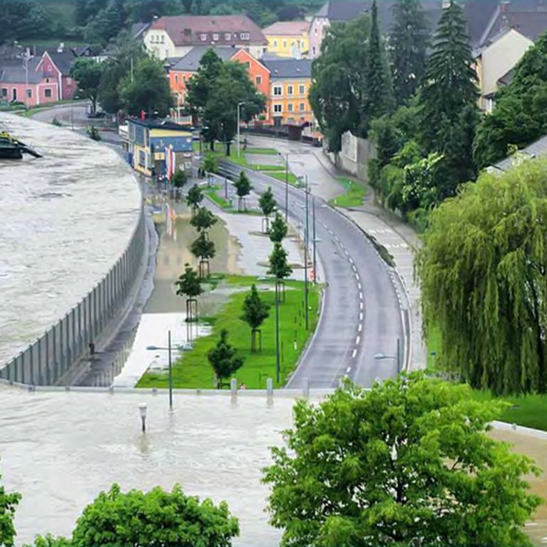 Danube Flood at Grein